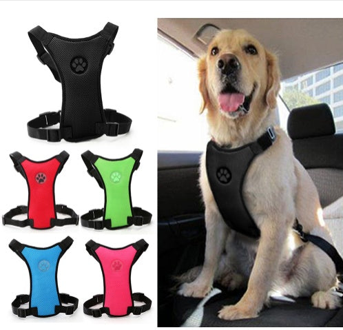 Sicheres & Bequemes Hundegeschirr für Auto & Alltag 🐾