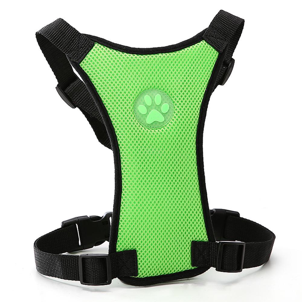 Sicheres & Bequemes Hundegeschirr für Auto & Alltag 🐾