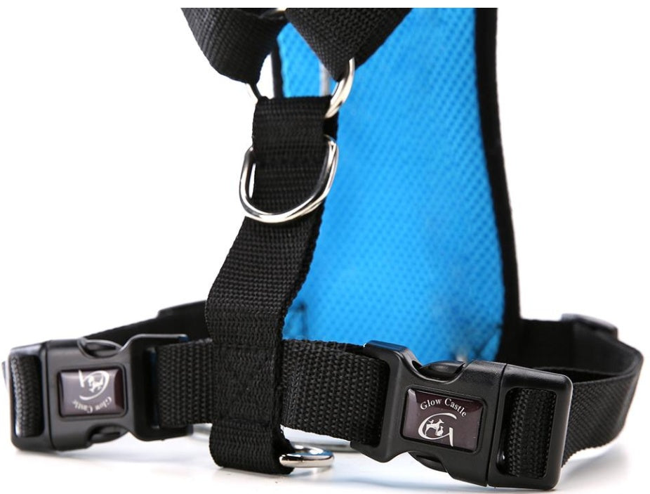 Sicheres & Bequemes Hundegeschirr für Auto & Alltag 🐾