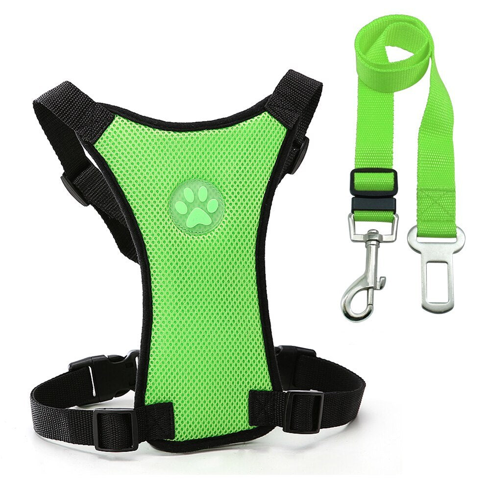 Sicheres & Bequemes Hundegeschirr für Auto & Alltag 🐾