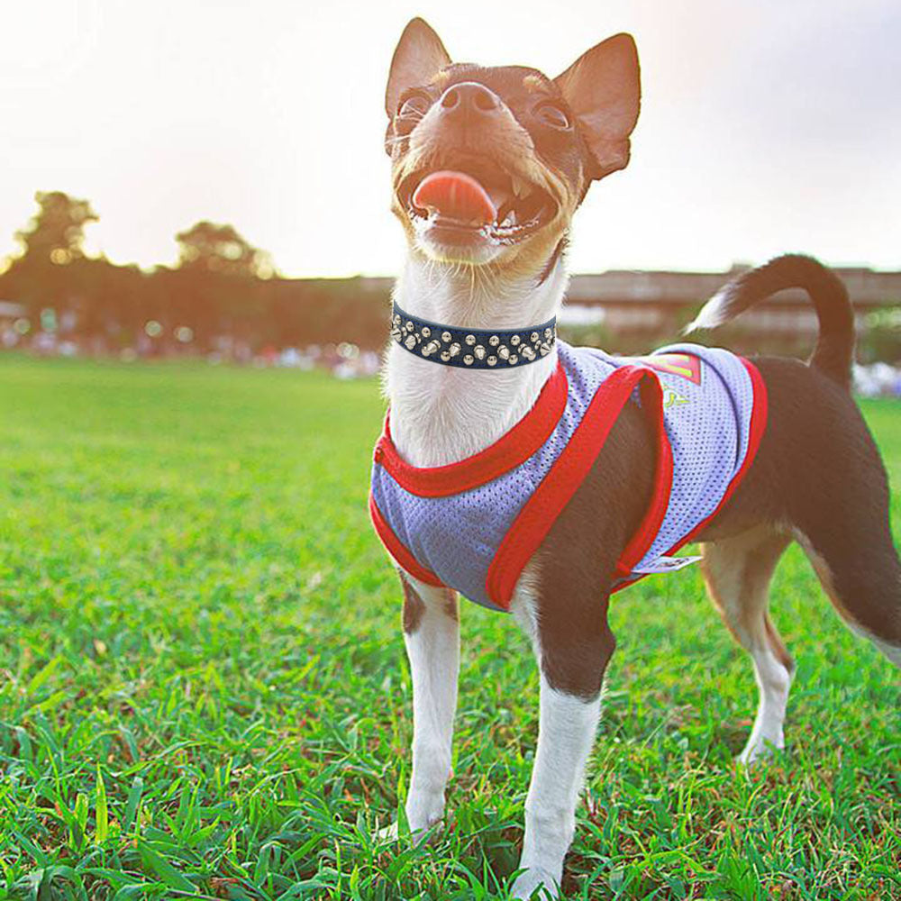 Stylisches Nieten-Hundehalsband für starke Auftritte! 🐶🔥