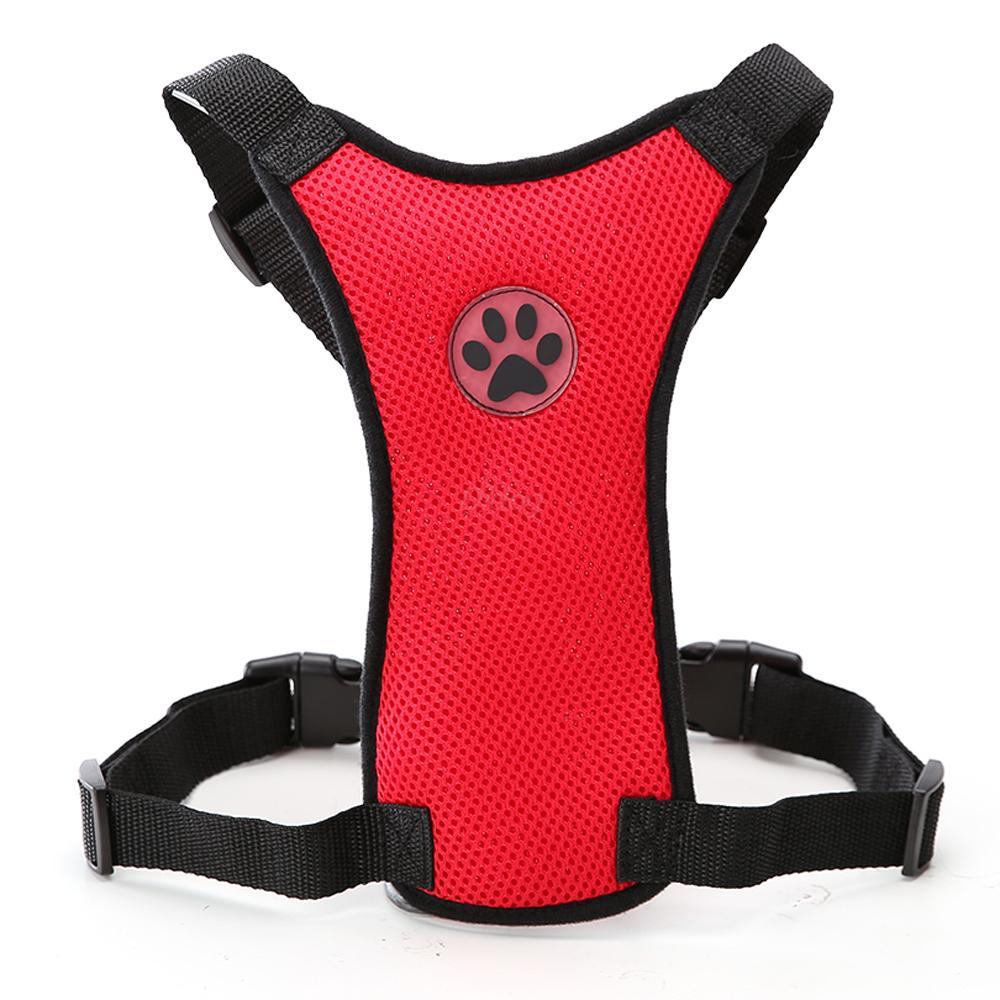 Sicheres & Bequemes Hundegeschirr für Auto & Alltag 🐾