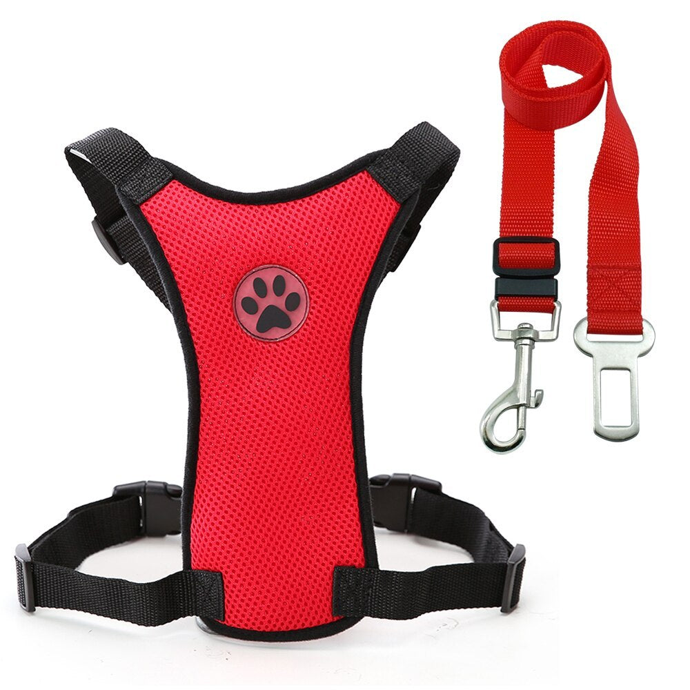 Sicheres & Bequemes Hundegeschirr für Auto & Alltag 🐾