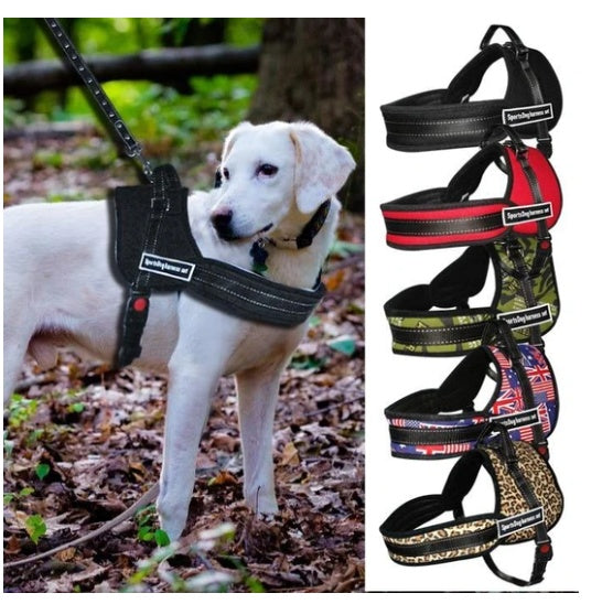 Sportliches & Bequemes Hundegeschirr für Freizeit & Training 🐾