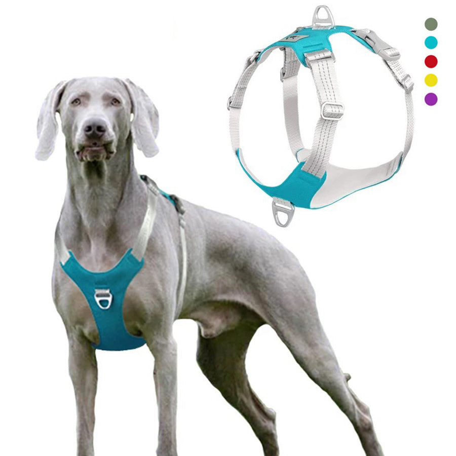 Verstellbares Hundegeschirr – Komfort & Kontrolle 🌟