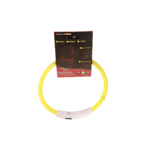 LED-USB-Hundehalsband – für mehr Sicherheit bei Nacht! 🐶💡