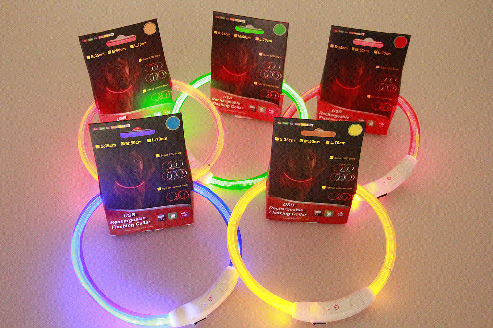 LED-USB-Hundehalsband – für mehr Sicherheit bei Nacht! 🐶💡