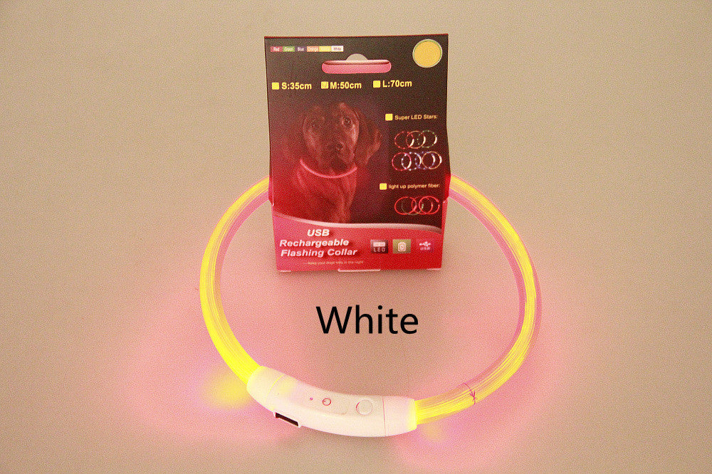 LED-USB-Hundehalsband – für mehr Sicherheit bei Nacht! 🐶💡