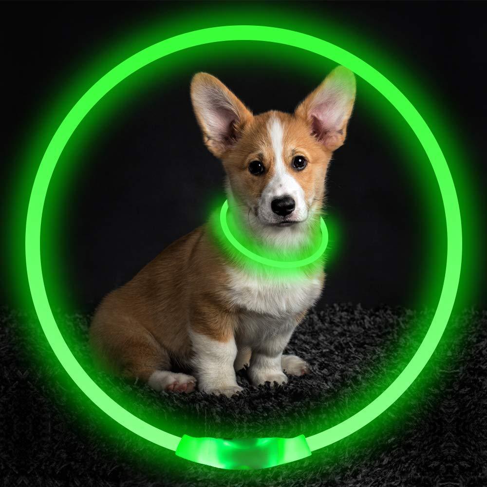 LED-USB-Hundehalsband – für mehr Sicherheit bei Nacht! 🐶💡
