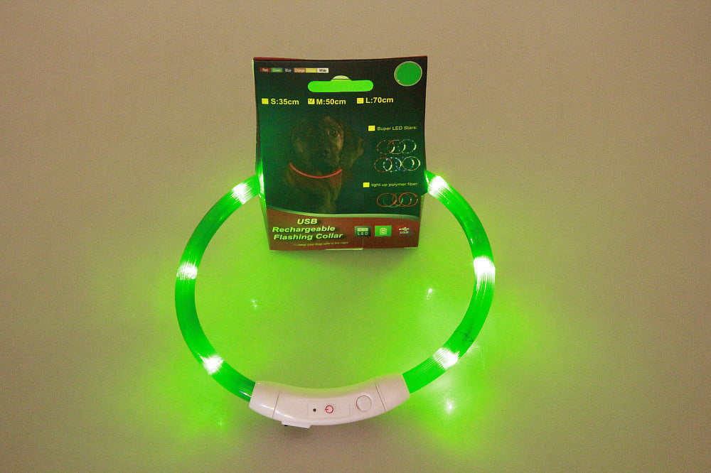 LED-USB-Hundehalsband – für mehr Sicherheit bei Nacht! 🐶💡