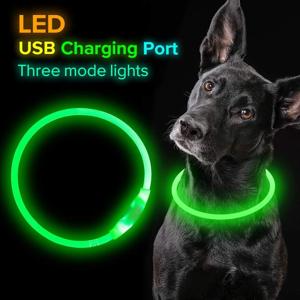 LED-USB-Hundehalsband – für mehr Sicherheit bei Nacht! 🐶💡