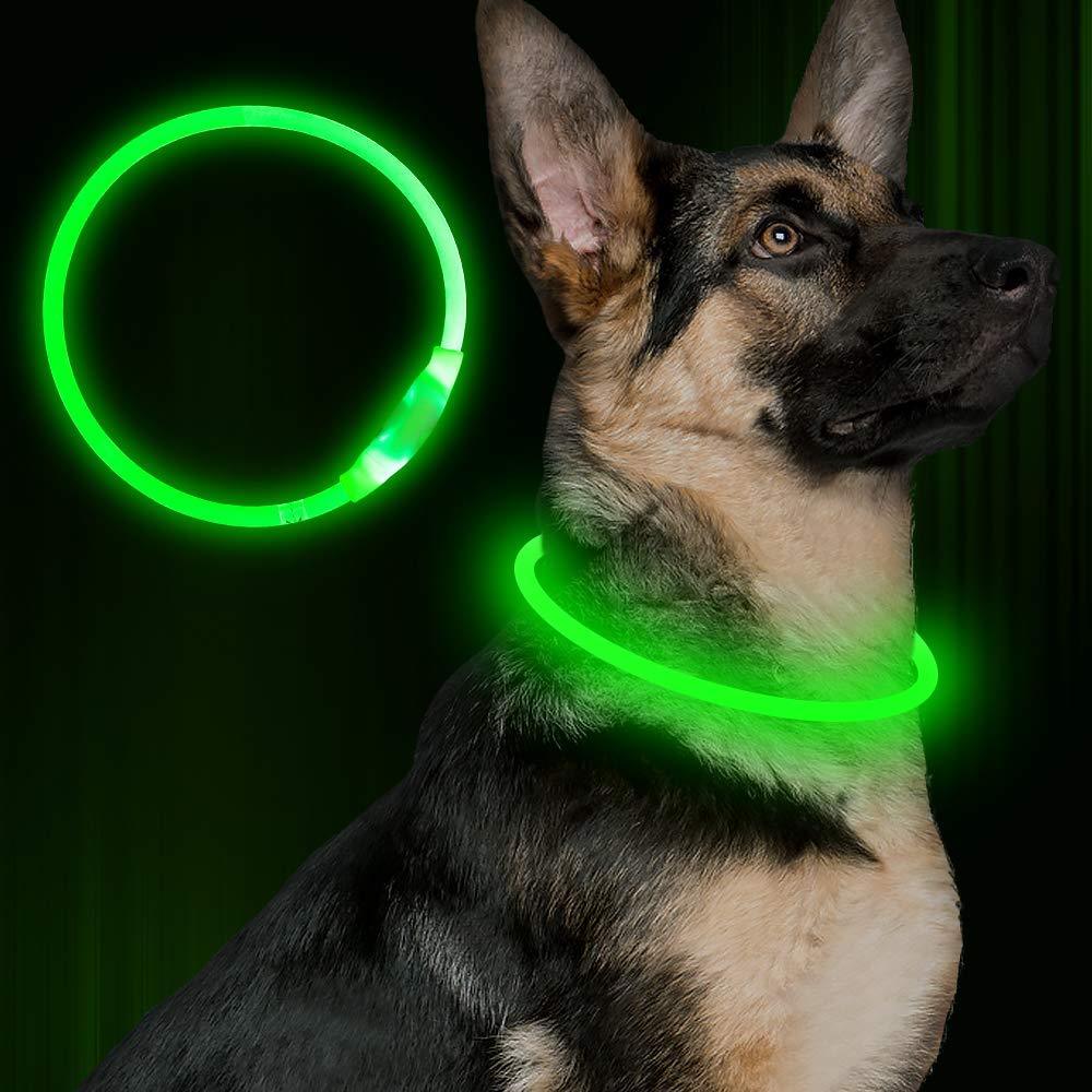 LED-USB-Hundehalsband – für mehr Sicherheit bei Nacht! 🐶💡